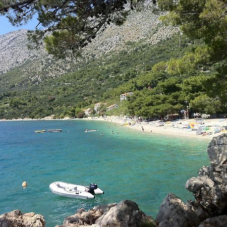 Apartments Vile Holiday Živogošće Eksteriør billede