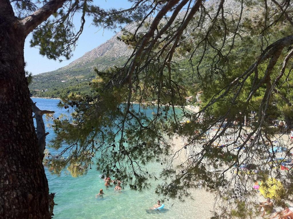 Apartments Vile Holiday Živogošće Eksteriør billede