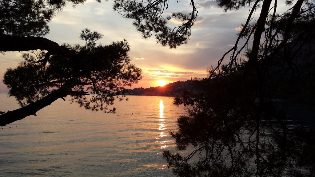 Apartments Vile Holiday Živogošće Eksteriør billede